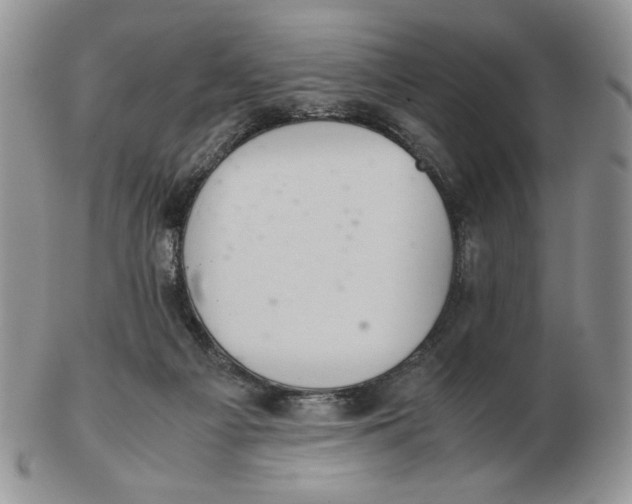 X0000103140121200809121802