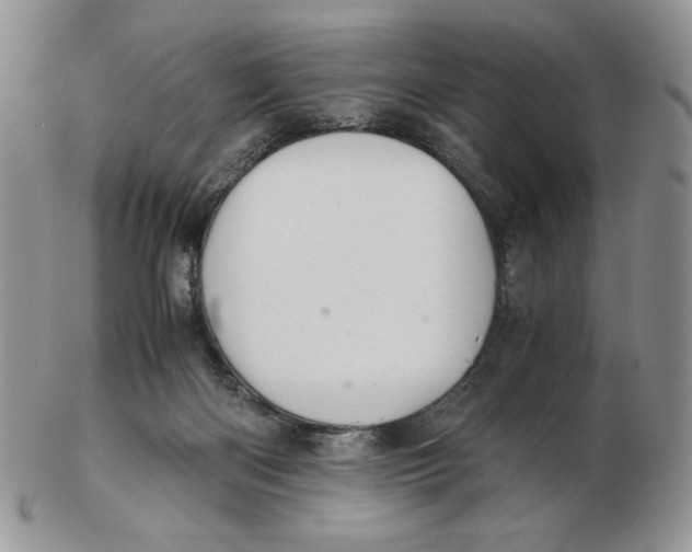 X0000103140122200809121802