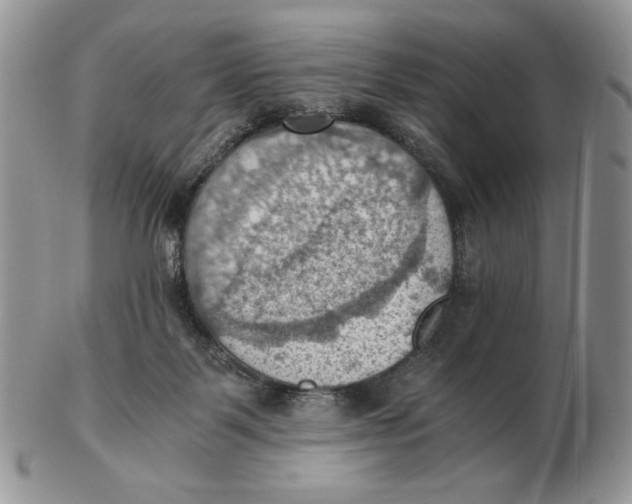 X0000103140123200809121802