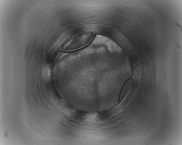 X0000103140124200809121802