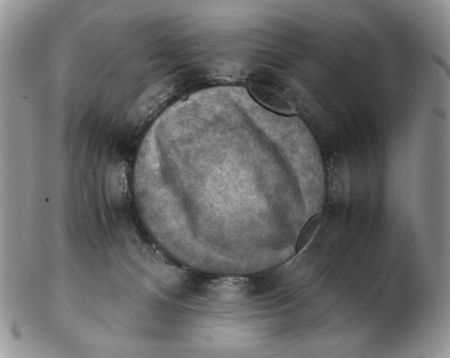 X0000103140128200809121802