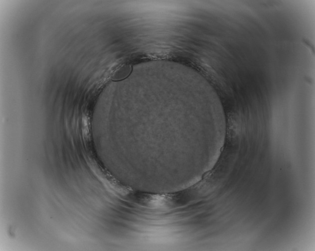 X0000103140130200809121802