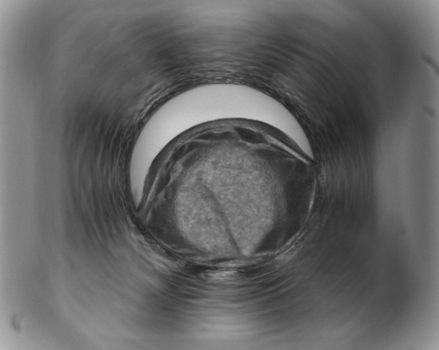 X0000103140132200809121802