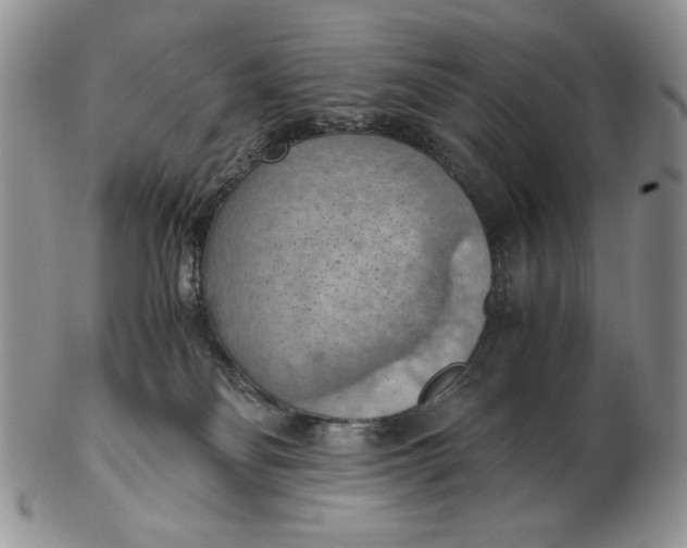 X0000103140134200809121802