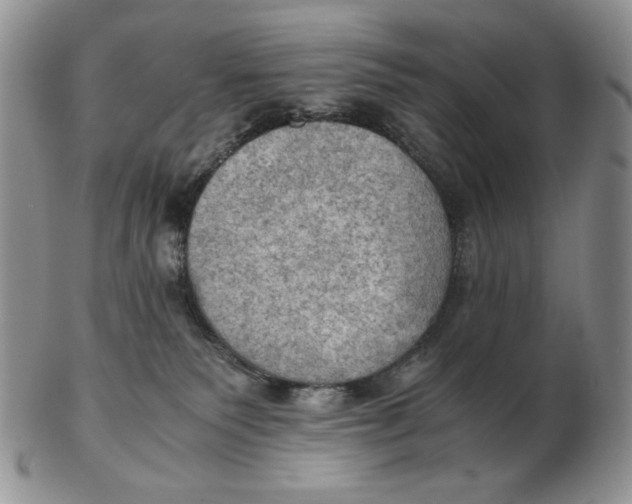 X0000103140135200809121802