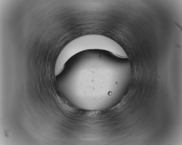 X0000103140136200809121802