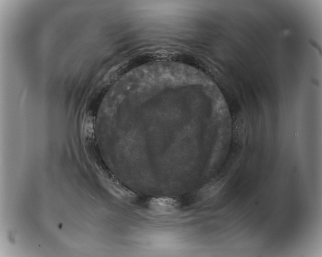 X0000103140137200809121802