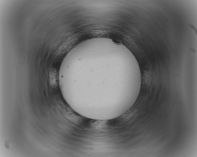 X0000103140138200809121802