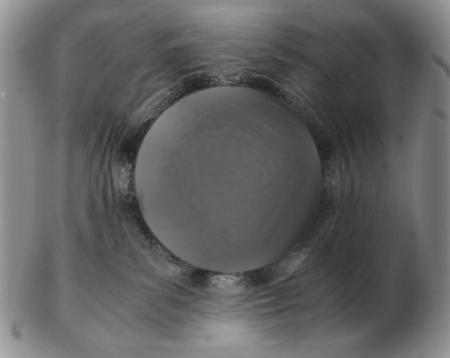 X0000103140139200809121802