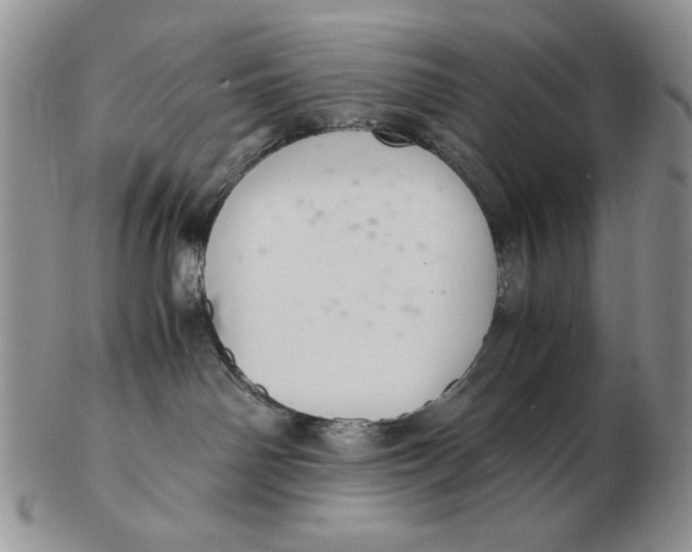 X0000103140142200809121802