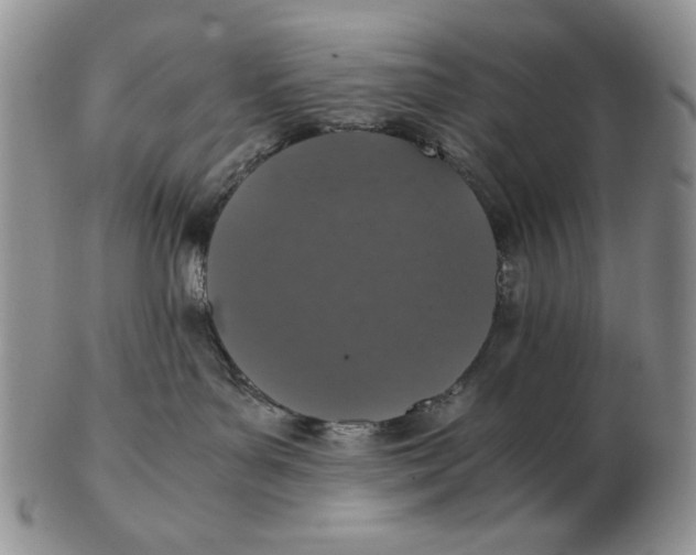 X0000103140143200809121802