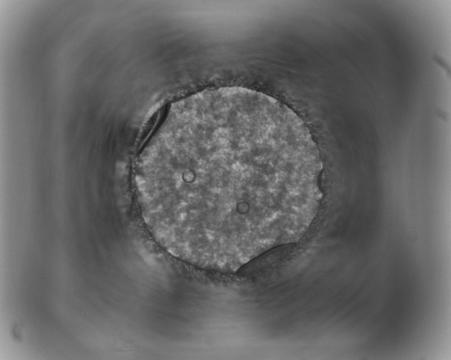 X0000103140144200809121802