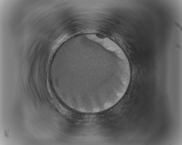 X0000103140145200809121801