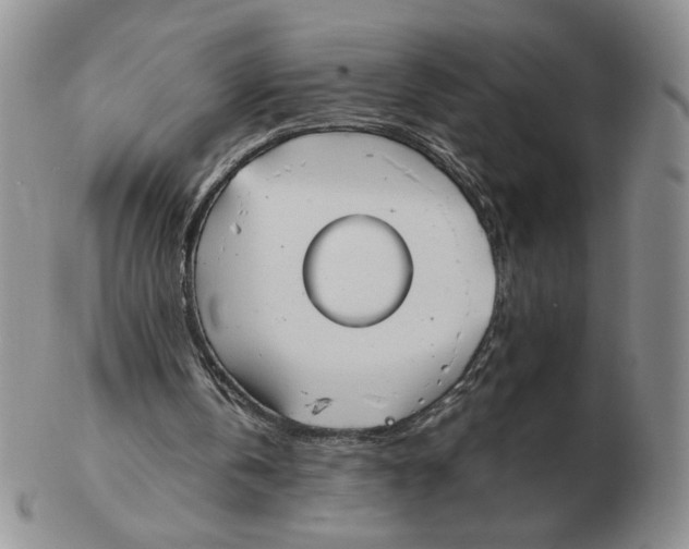 X0000103140146200809121801