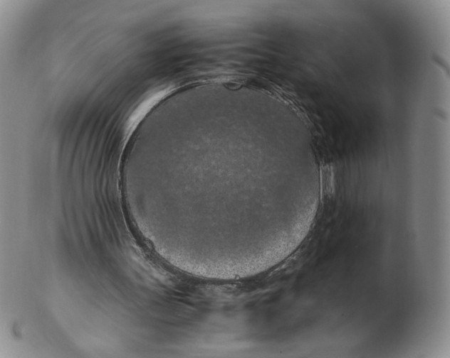 X0000103140147200809121801