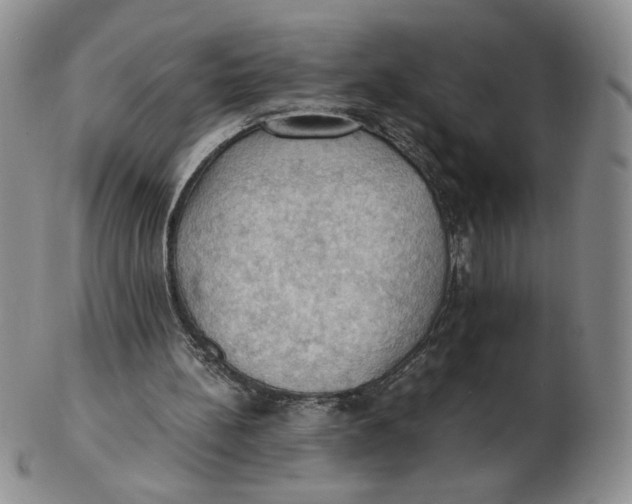 X0000103140148200809121801