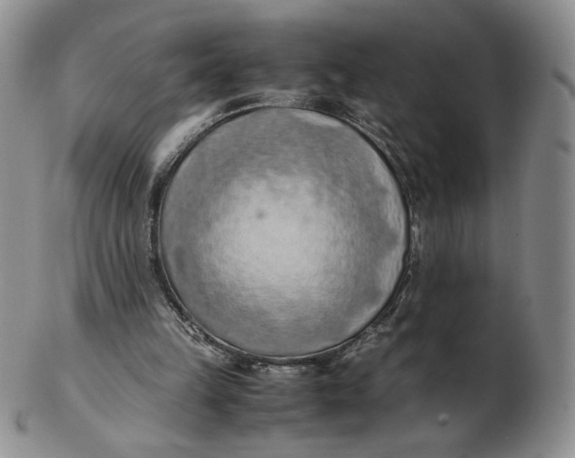 X0000103140149200809121801