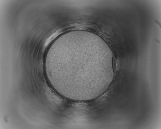 X0000103140150200809121801