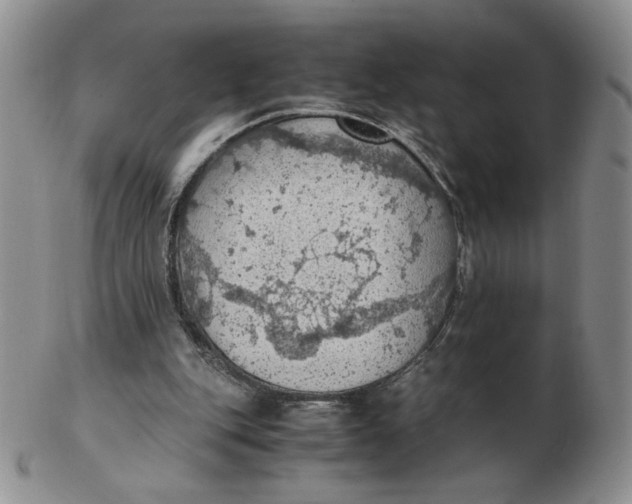 X0000103140151200809121801