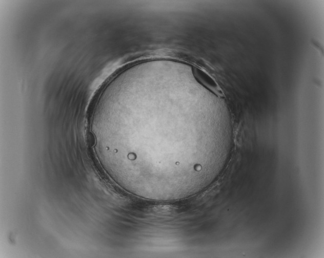 X0000103140152200809121801