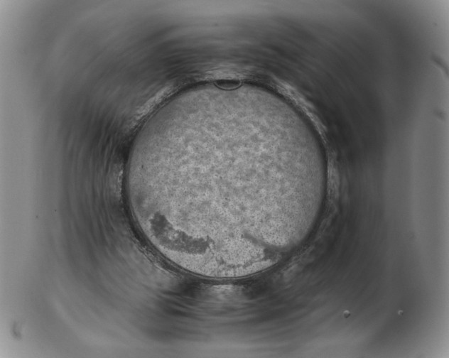 X0000103140153200809121801