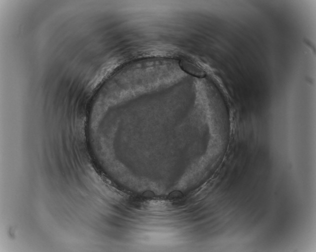 X0000103140154200809121801