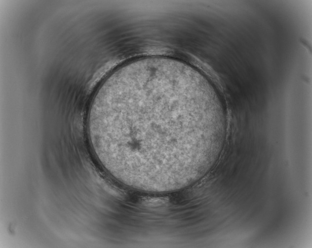 X0000103140155200809121801