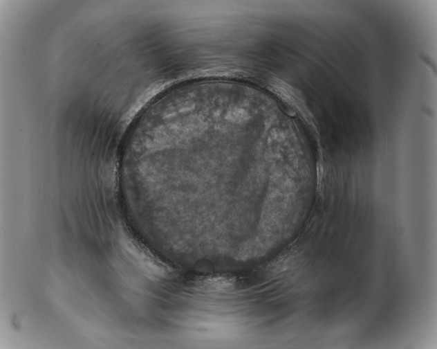 X0000103140156200809121801