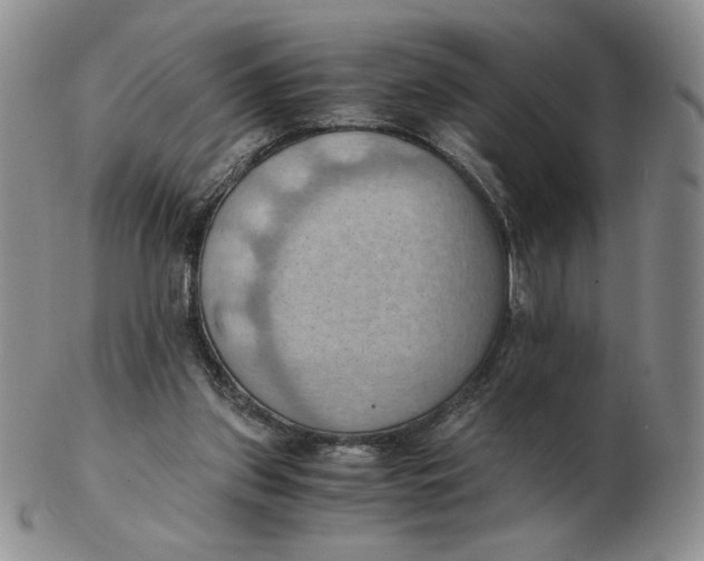 X0000103140157200809121801