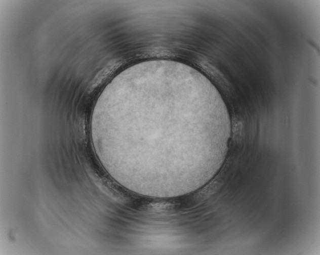 X0000103140158200809121801