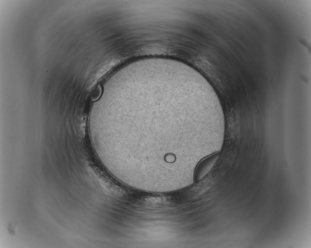 X0000103140160200809121801