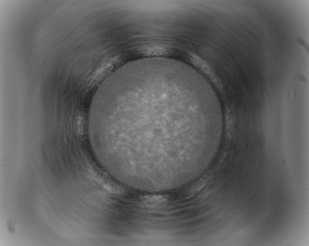 X0000103140161200809121801