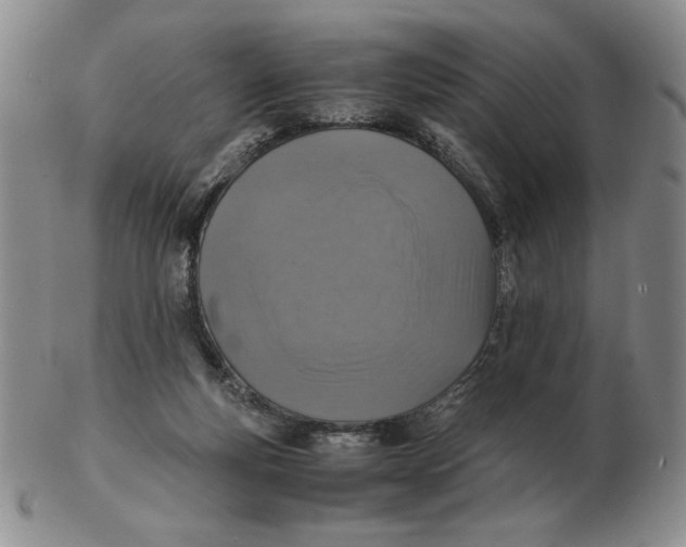 X0000103140163200809121801