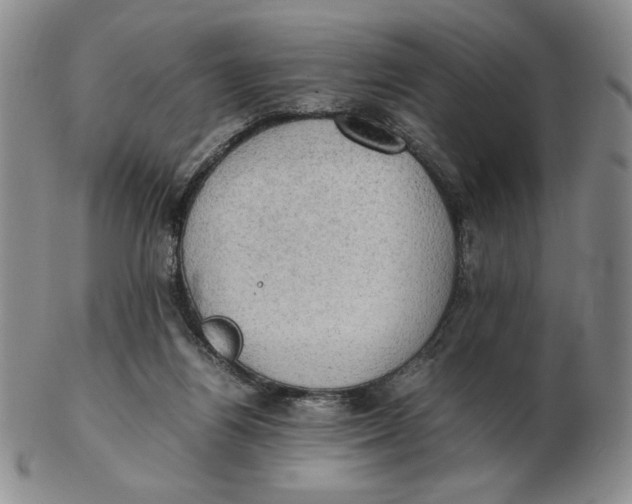 X0000103140164200809121801