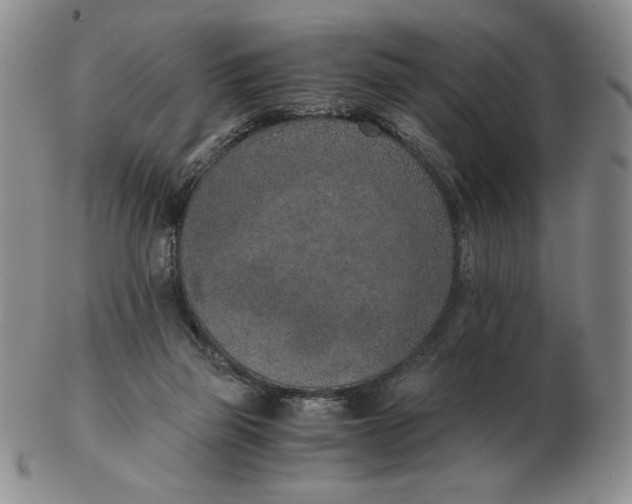 X0000103140165200809121801