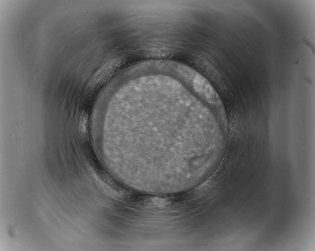 X0000103140166200809121801