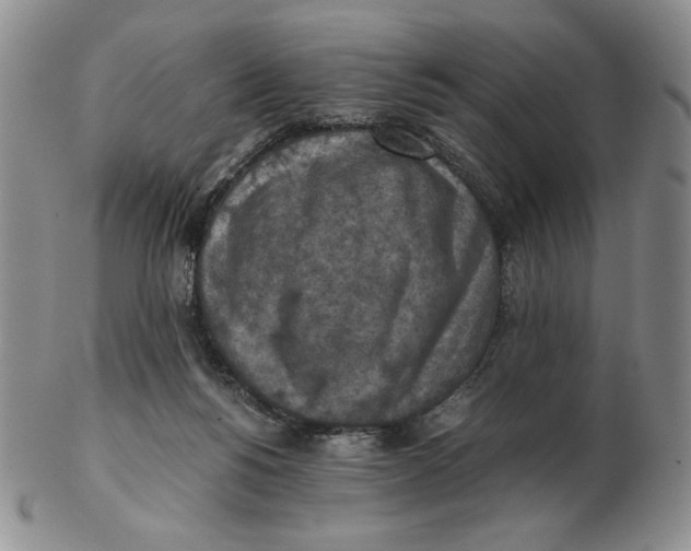 X0000103140168200809121801