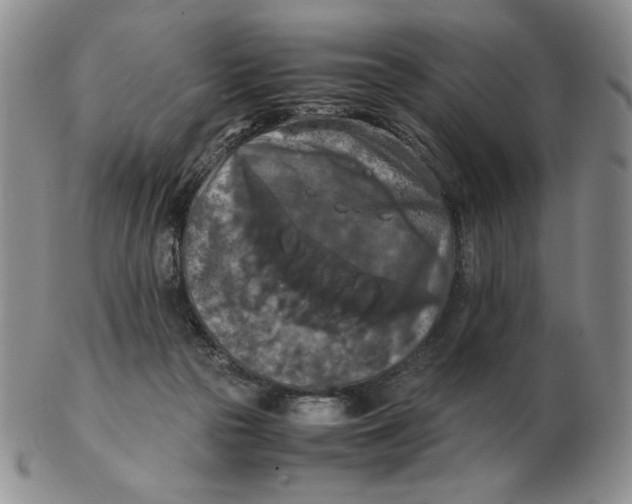 X0000103140169200809121802