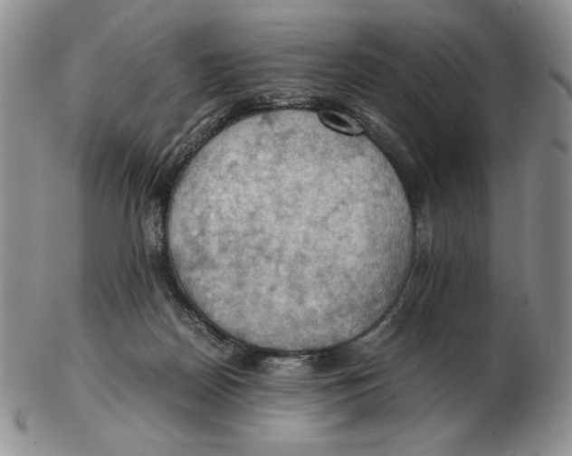 X0000103140170200809121802