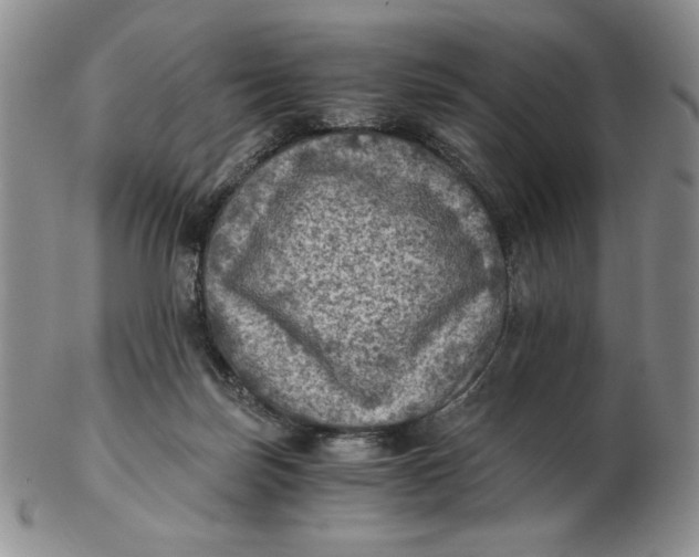 X0000103140171200809121802