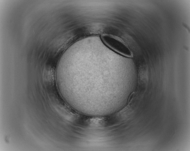 X0000103140172200809121802