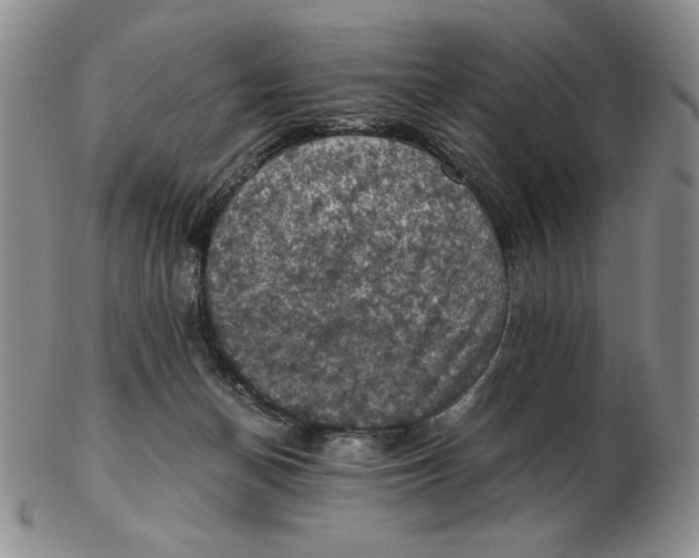 X0000103140174200809121802