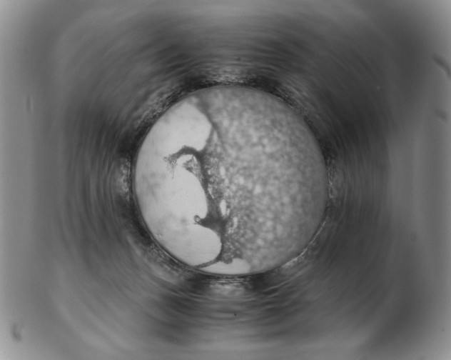 X0000103140175200809121802