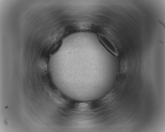 X0000103140176200809121802