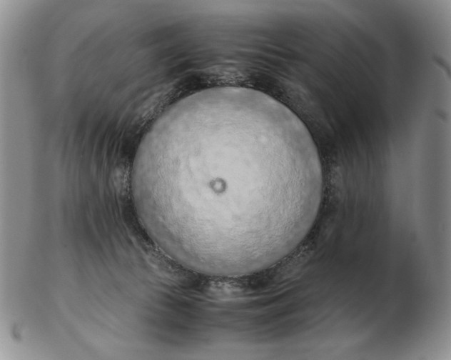 X0000103140177200809121802