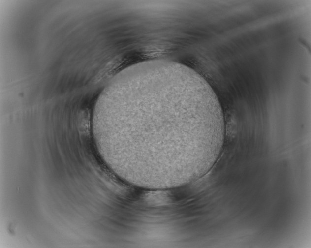 X0000103140179200809121802