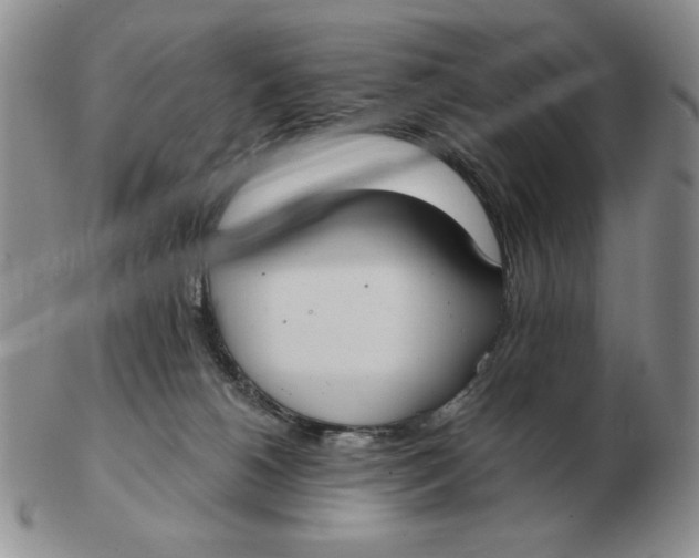 X0000103140180200809121802