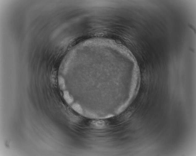 X0000103140181200809121802