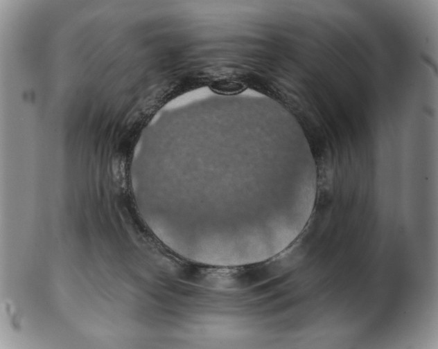 X0000103140182200809121802