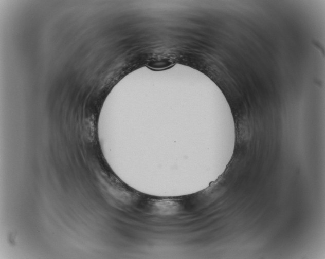 X0000103140183200809121802